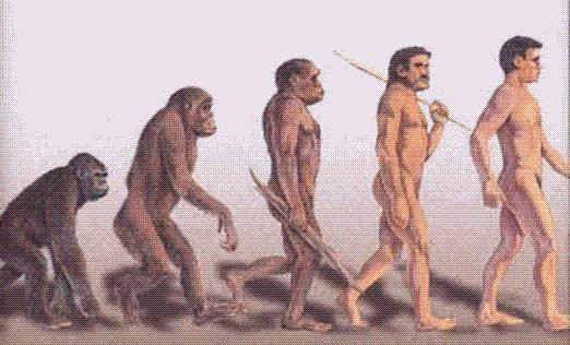 Evolutionary Discordance Homo erectus: 2 million -15,000 years ago Stature & body weight increased as moved to hunter-gathering Nomadic existence: 15% taller & healthier (Walker