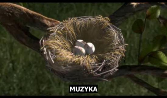 As both clips begin with a one-line subtitle describing music, the subtitles examined here are identical in terms of length and content: MUZYKA ( music ).