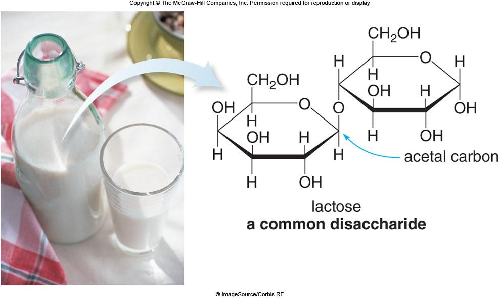 Disaccharides Disaccharides are composed of two