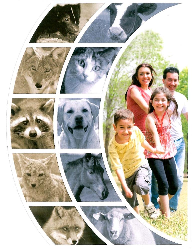 Rabies Prevention Three Layers of Protection Family: Avoid dog/cat bites Proper care of bite wounds Wash with soap/water Seek medical advice Domestic animals: Vaccinate dogs, cats, horses Vaccinate
