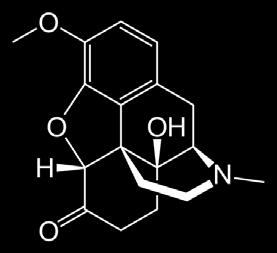 Oxy euphoria Oxycodone, fentanyl, hydromorphone, and