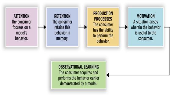 Cognitive Learning Theory Components of Observational Learning Is learning cognitive or not?