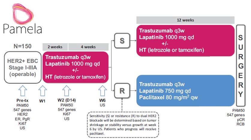 PAM50: PAMELA (SOLTI, HER2+) pcrb to dual HER2 blockade with lapatinib and trastuzumab in all patients, at the time of surgery, predicted by PAM50 HER2-E subtype Comparison between the PAM50 HER2-E