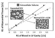 extracellular volume expansion
