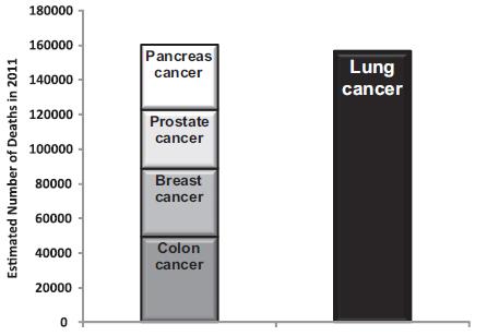 Lung cancer - Epidemiology Number of