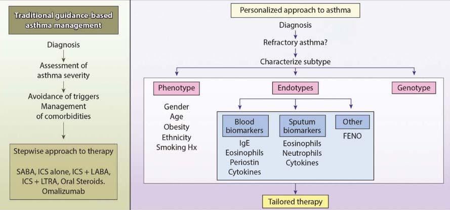 Paradigm Shift to a More Personalized Approach to Asthma Therapy Dunn RM