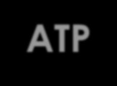 ATP SC.912.L.18.