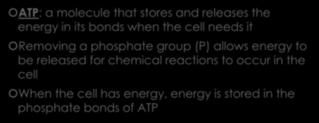 1. Students will connect the role of ATP to energy transfers within the cell.