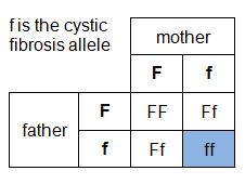 Cystic fibrosis (CF) is caused by a recessive allele. In the genetic diagram below, it is written as f. People with CF produce abnormally thick and sticky mucus in their lungs and airways.