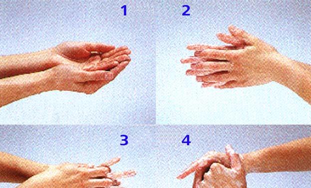 Six steps to wash your hands: 1) Wet and soap your hands.