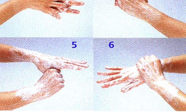 3) Wash your left hand with your right hand and alternate to the other hand and