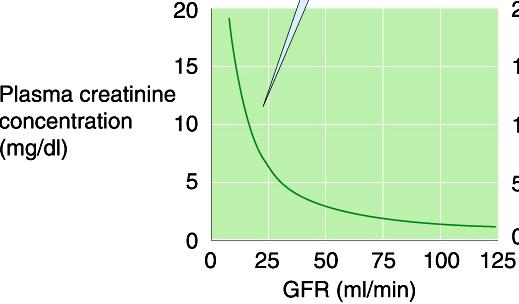 colorimetric method U Cr. X V Plasma Cr Inversely Related to GFR Fig 3-3 P Cr = 6mg/dl GFR 1/6 P Cr =2mg/dl GFR ½ Normal P Cr =1mg/dl Normal GFR Plasma Creatinine Concentrations P Cr = 0.