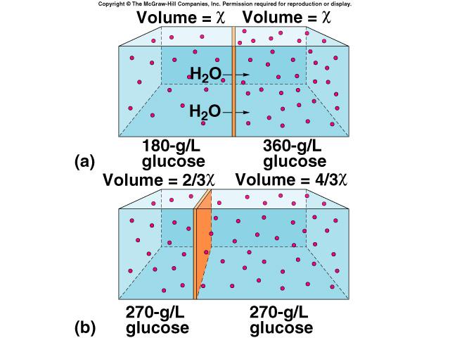 Effect of osmosis Osmotic pressure Pressure that