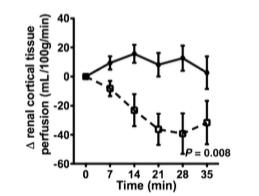 vasoconstriction Reduced GFR Bullivan et al, Am J