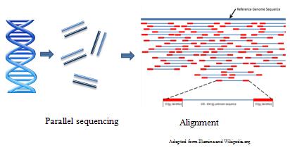 NGS NGS can simultaneously detect multiple mutations in one sample.