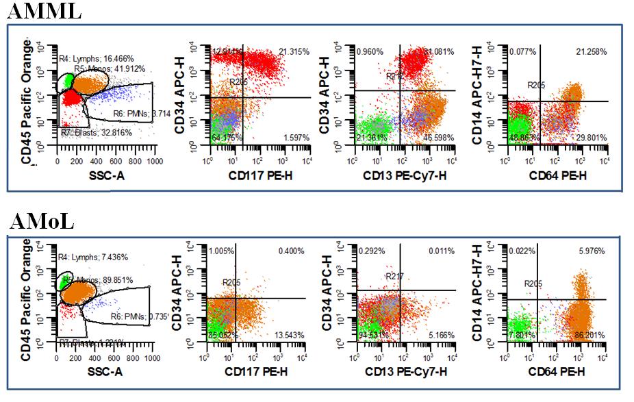Flow cytometry Blast marker: CD34 CD117 Myeloid marker:cd13 CD33 Monocytic