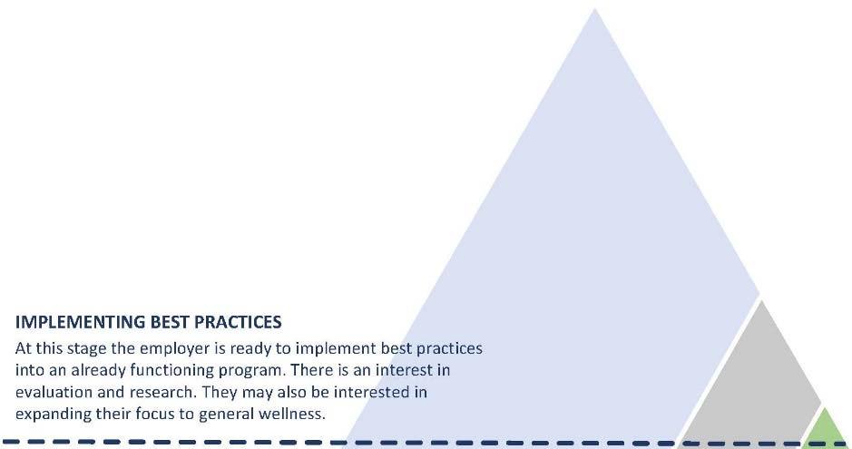 IMPLEMENTING BEST PRACTICES: INTEGRATING THE PTSD FRAMEWORK AND OHS MANAGEMENT SYSTEM There is Sr.