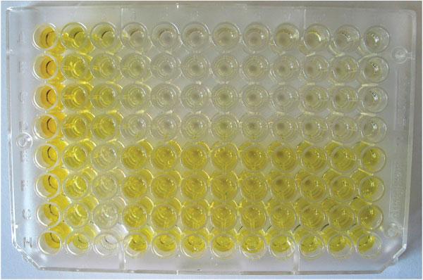 To date Urine samples collected from 4 subjects