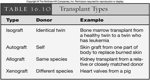 Transplantation and Tissue Rejection Transplanted tissues and organs cornea kidney liver pancreas heart