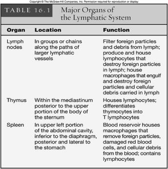 Major Organs of Lymphatic System 19 Body Defenses Against Infection pathogen disease