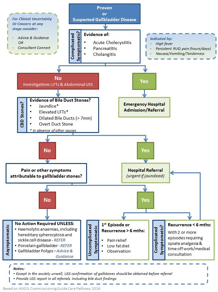 6.4 Primary Care Management Pathway for Gallstone Disease and Gallbladder