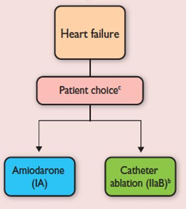Rhythm control in heart failure 2012 ESC Guidelines 2016 ESC Guidelines Heart failure AMIODARONE (I B) DOFETILIDE (I B) Catheter Ablation (IIb B) Jones JACC