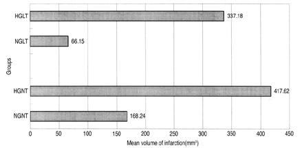 Figure 2. Comparisons of infarct volume in normothermic and hypothermic groups. Hyperglycemia increased the infarct volume by 509.