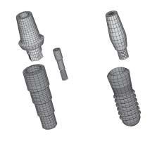 Fig 2 3D FEA models of n implnt-supported prosthesis constructed for this study. () Frilit-2 (FRI) system, including the utment, utment screw, nd implnt.