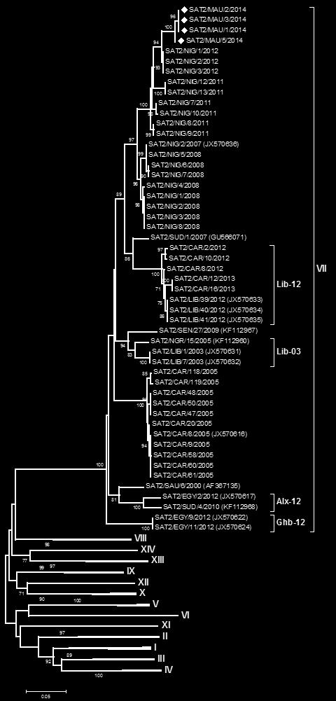Cattle Genetically similar to FMD viruses from previous outbreaks in Egypt (Alx-12
