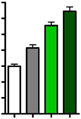 gluose x AUC insulin ) 1 Figure Adipose tissue Npepld deletion indues n oese-like phenotype. () Totl ody-weight gin (g) (n ¼ 7). () Totl ft mss (% of totl ody weight) mesured y TD-NMR (n ¼ 7).
