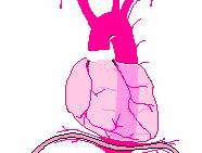 Traumatic Aortic Rupture The chances of survival are very slim and are based on the degree of the tear.