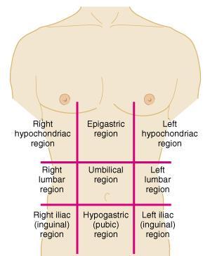 Umbilical Epigastric Hypogastric Right and left iliac or