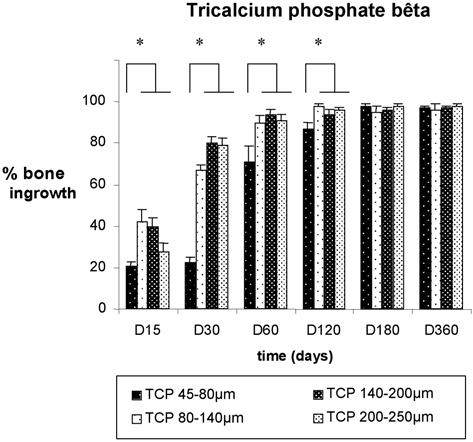 BONE INGROWTH INTO TWO POROUS CERAMICS 601 b-tricalcium phrosphate Fig. 4. Percentage of bone ingrowth into the TCP implant Fig. 5.