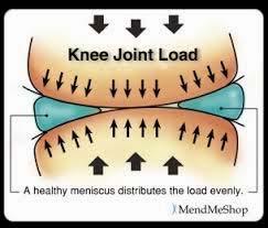 stability -Aids in joint nutrition/ lubrication -Proprioception Photo: http://3dptnj.blogspot.