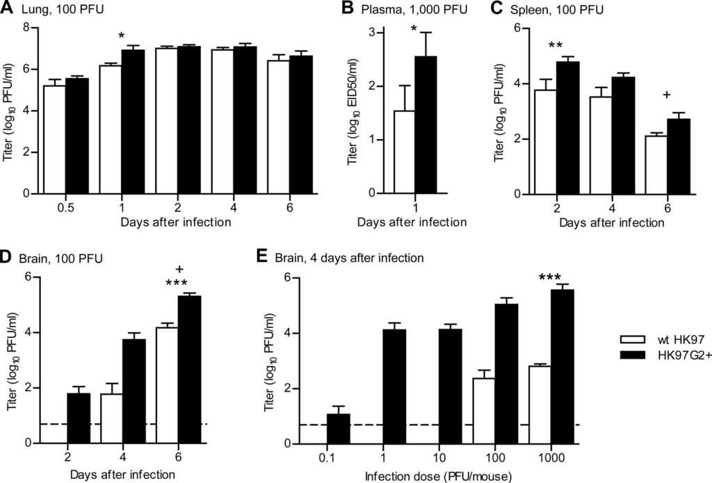7050 SPESOCK ET AL. J. VIROL. FIG. 2. Replication kinetics of wt HK97 and HK97G2 viruses in mice. BALB/c mice were infected intranasally with the indicated dose of virus. *, P 0.05; **, P 0.