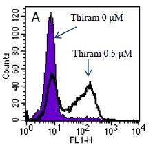 Int. J. Environ. Res. Public Health 1, 12 364 As shown in Figure 4B, although thiram and ziram had almost the same effect at.2 µm, the apoptosis induced by thiram at.