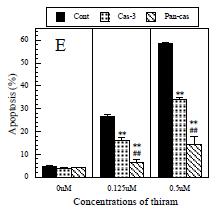 12 µm in the presence of Z-FA-FMK (a negative control for Z-VAD-FMK and Z-DEVD-FMK) at µm, (C): dot plot of FITC-Annexin V/PI in cells treated with thiram at.