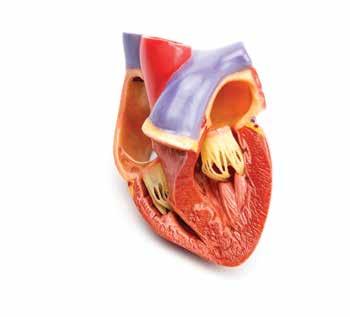 Heart failure Keywords Cardiac dysfunction/ Ejection fraction/nyha classification This article has been double-blind peer reviewed In this article.