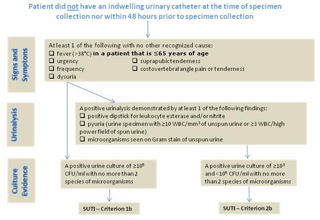 Figure 3: Identification Categorization of SUTI Without Indwelling Catheter