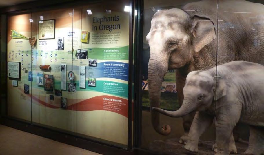 Pride in Oregon Zoo 80% of Elephant Lands visitors feel proud of what the zoo is doing to protect elephants in the wild Felt tax money was well-spent to develop Elephant Lands Focus group