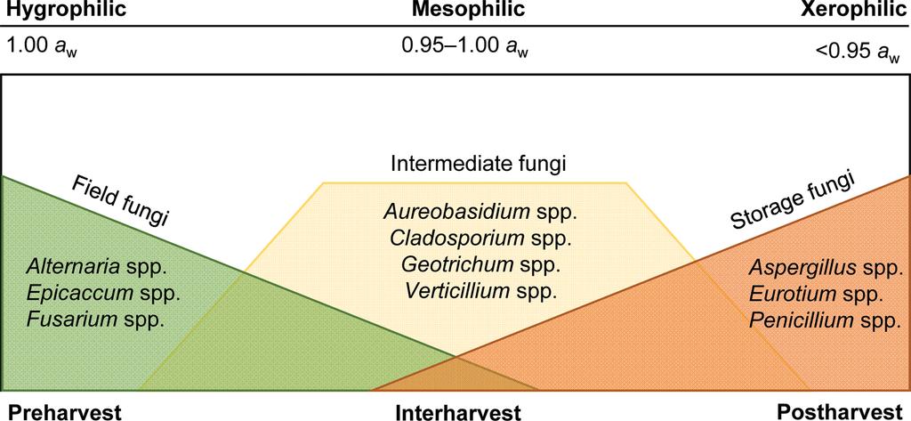 Environmental Influence on Grain Fungi and Mycotoxin microorganisms, which interact among themselves, with the grain, and with the environment of the storage facilities [7].