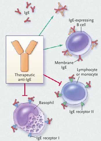 Use of Anti-IgE Antibody to Reduce