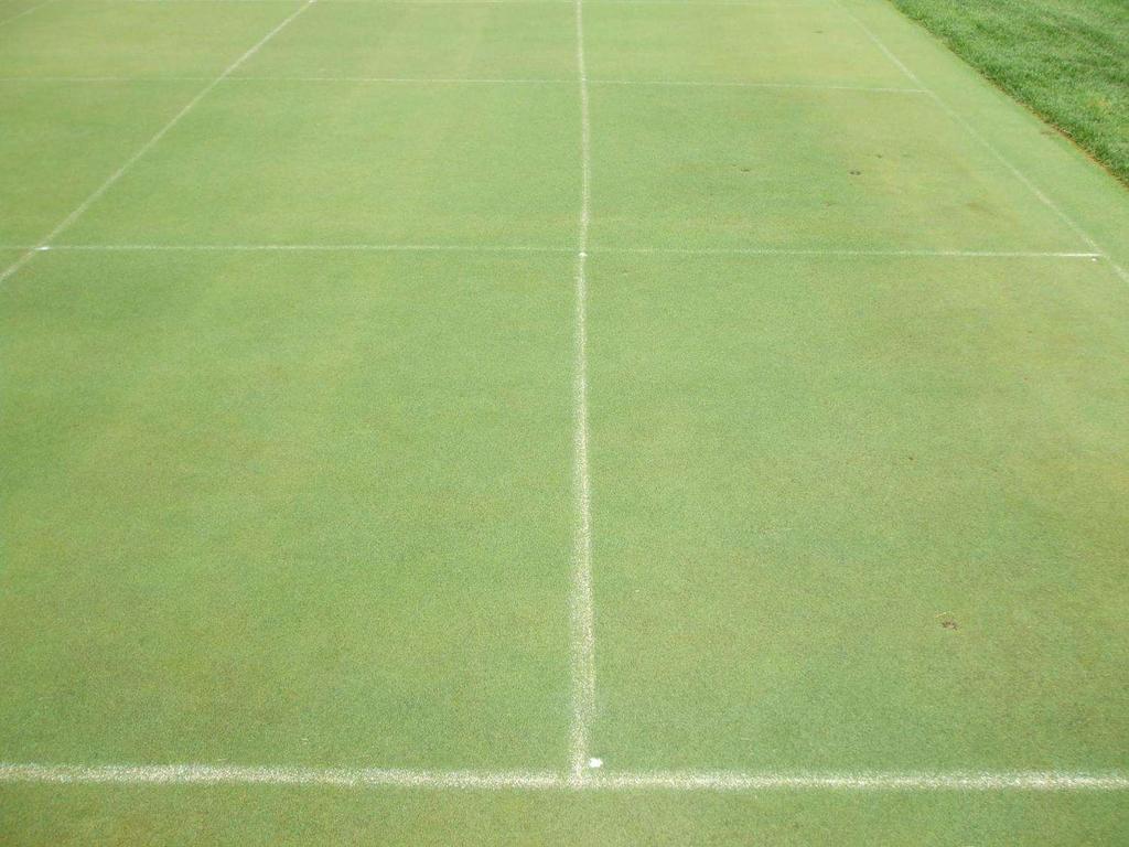 500 TE Application Rate (oz/m) Supers underestimate Poa Except low HOC, high TE rate PGRs also reduce