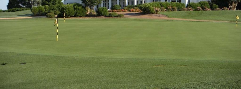 7 7 days Primo Maxx Re-applied Every Four Weeks 200 GDD TE At 1x and 2x Rates Country Club Of VA, Richmond, example Troy Fink, CGCS, James River Course A4, USGA greens, <1% Poa 150 GDD spray trigger: