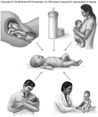 Mother s birth canal Mother s breast milk Bottle-feeding People 14 NOW Disease! (what is it?