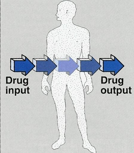 Steady state of a drug Steady-state: the amount of drug eliminated equals the