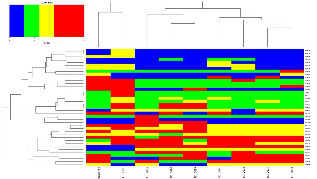 Probing Diversity within a Clonal Point Source O157 Outbreak MN Daycare A T G C Xba-Bln variant MLVA variant Bln-variant Reference Sample: