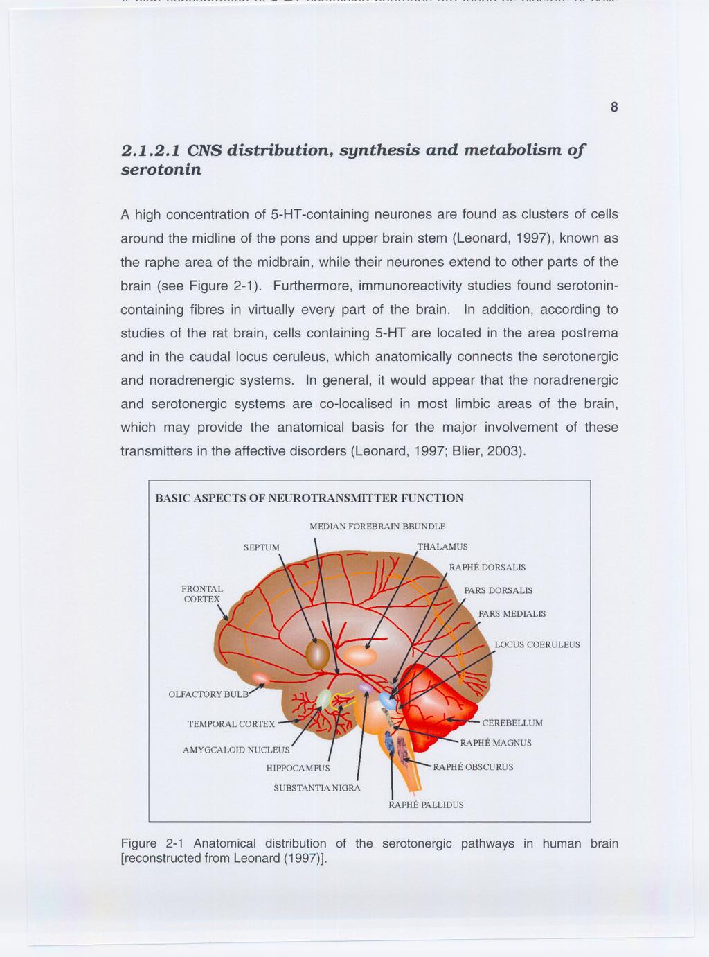 8 2.1.2.1 CNS distribution, synthesis and metabolism of serotonin A high concentration of 5-HT-containing neurones are found as clusters of cells around the midline of the pons and upper brain stem