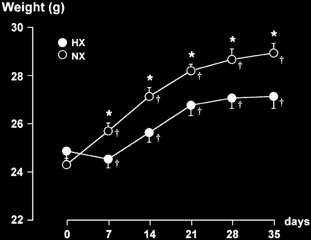 Dematteis, Julien, Guillermet, et al.: Hypoxia and Cardiovascular Changes 229 Figure 2. Body weight evolution during intermittent hypoxia (IH).