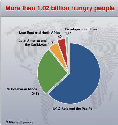 Vol. 5 (3), Serial No. 20, May, 2011. Pp. 40-48 Food and Agricultural Organization, (2010). Number of Undernourished in: Global Issues (2010). www.worldhungeer.org Global Issues, (2010).